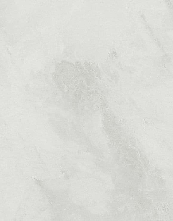 White Background